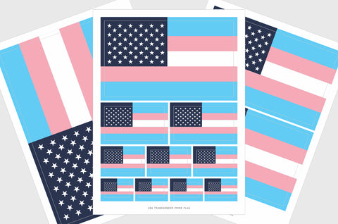 United States, USA Transgender Pride Flag Stickers