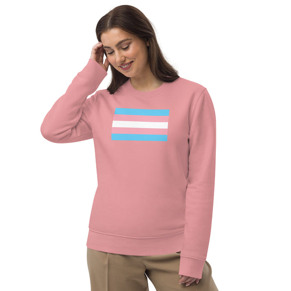 Trans Flag Sweatshirt