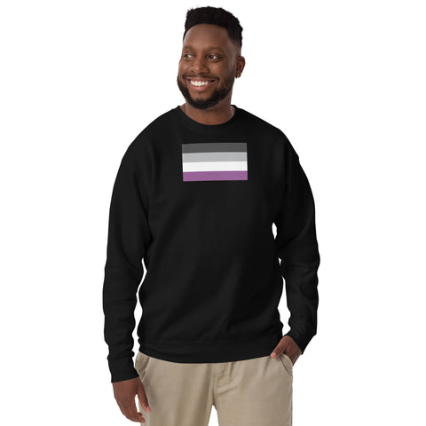 Asexual Pride Flag Premium Sweatshirt