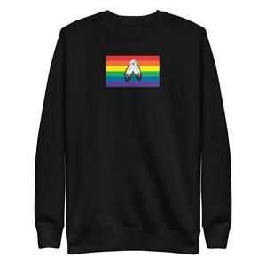 Two Spirit Flag Unisex Premium Sweatshirt