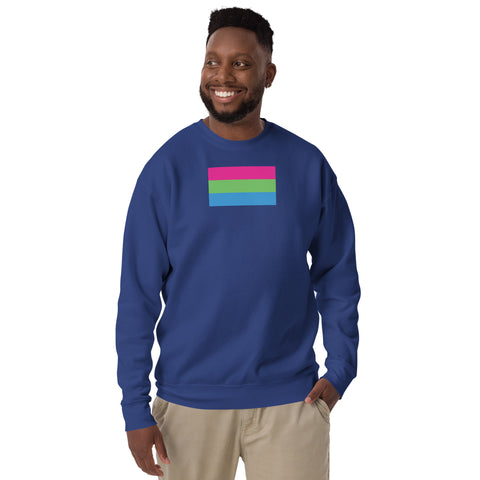 Polysexual Pride Flag Sweatshirt