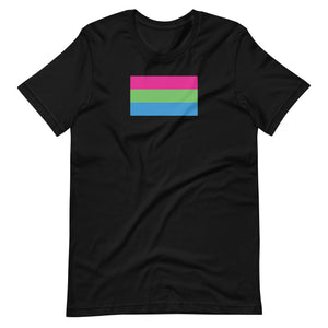 Polysexual Flag T-Shirt