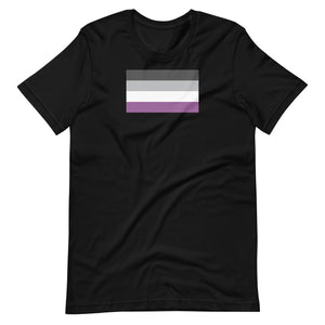 Asexual Pride Flag T-shirt