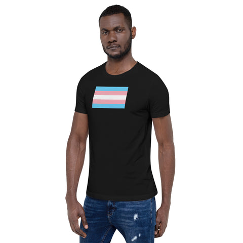 Trans Flag T-shirt