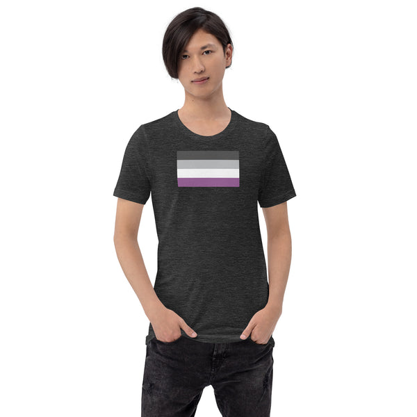 Asexual Pride Flag T-shirt