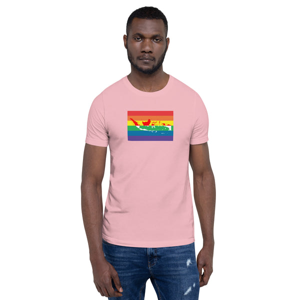Indonesia LGBT Pride Flag Unisex t-shirt