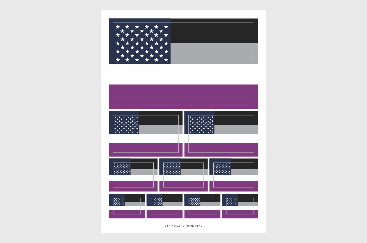USA Asexual Pride Flag Stickers