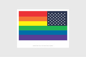 United States Opposing LGBT Gay Pride Flag Sticker, Weatherproof Vinyl USA LGBT Flag Stickers